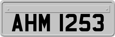 AHM1253