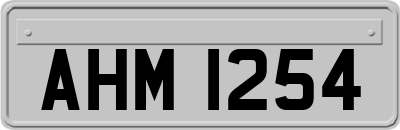 AHM1254