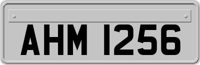 AHM1256
