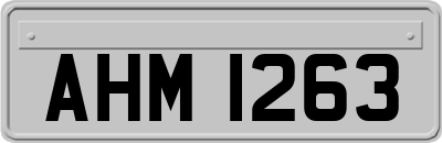 AHM1263