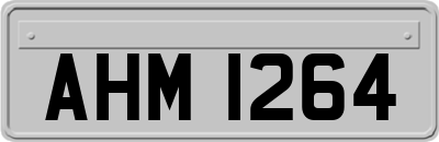 AHM1264