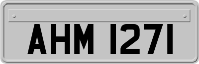AHM1271