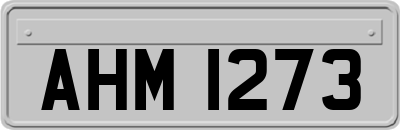 AHM1273