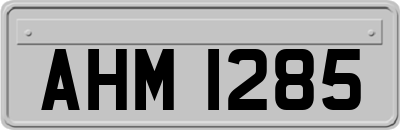 AHM1285
