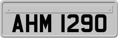AHM1290