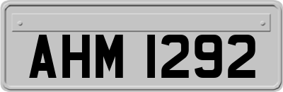 AHM1292