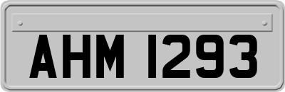 AHM1293