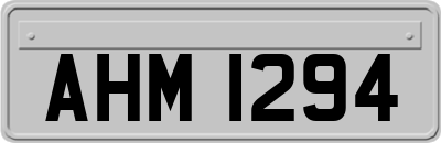 AHM1294