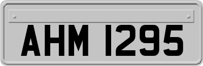 AHM1295