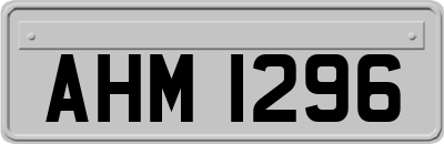 AHM1296