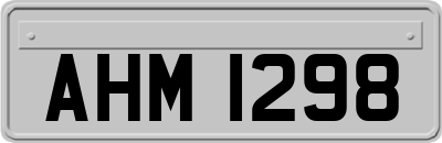 AHM1298
