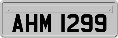 AHM1299