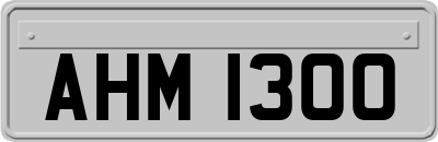 AHM1300