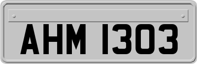 AHM1303