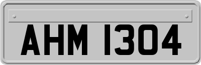 AHM1304