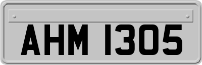 AHM1305