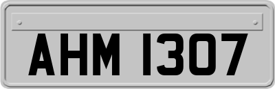 AHM1307