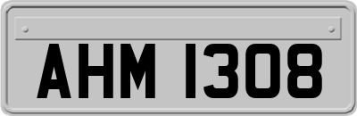 AHM1308