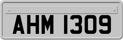 AHM1309