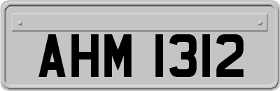 AHM1312