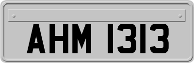 AHM1313