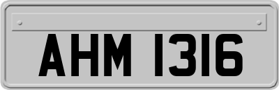 AHM1316