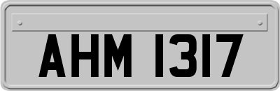 AHM1317