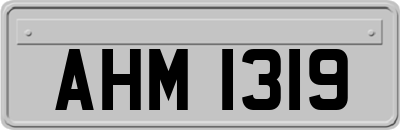 AHM1319