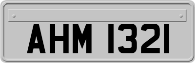 AHM1321