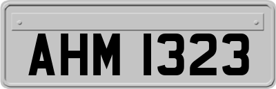 AHM1323