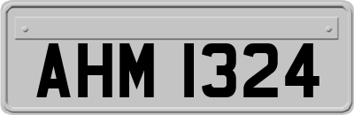 AHM1324