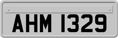 AHM1329