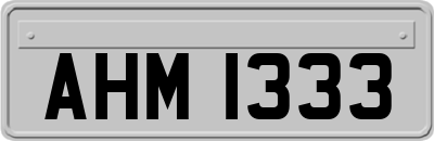 AHM1333