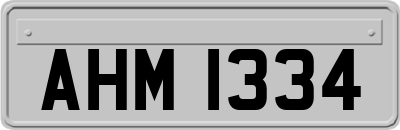 AHM1334