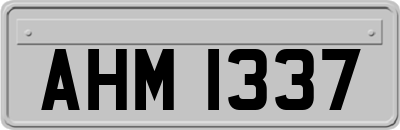 AHM1337