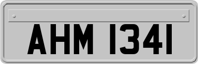 AHM1341