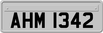 AHM1342