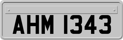 AHM1343