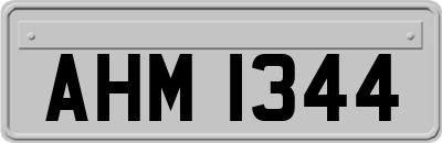 AHM1344