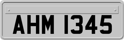 AHM1345