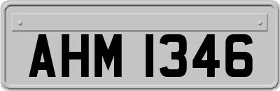 AHM1346