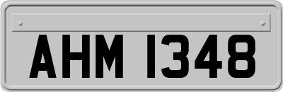 AHM1348
