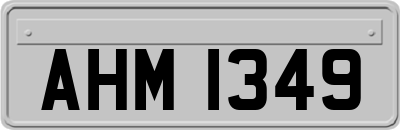 AHM1349