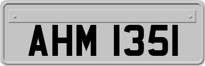 AHM1351