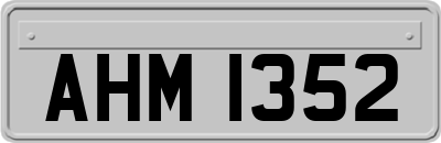 AHM1352