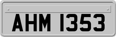 AHM1353