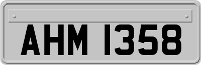 AHM1358