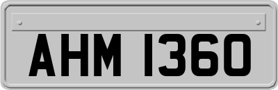 AHM1360