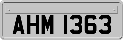 AHM1363