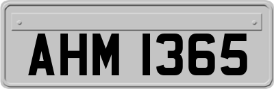 AHM1365